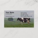 Recherche de vache holstein cartes visite Lait