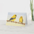 Recherche de roitelet vœux cartes Jardin