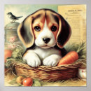 Suche nach beagle poster Süß