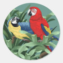 Recherche de ara autocollants Animaux