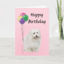 Recherche de tulear vœux cartes Animal