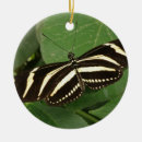 Recherche de sans ailes ornements Animaux