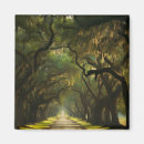 Recherche de conduite magnets Arbre