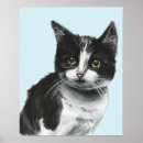Suche nach kitten poster Niedliche katzen