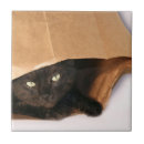 Recherche de le chat noir carreaux Amoureux des chats