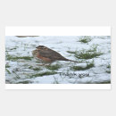 Suche nach vogel im winter aufkleber Natur