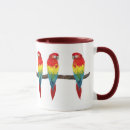 Recherche de perroquet tasses Aviaire