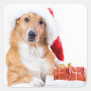Suche nach weihnachtshund aufkleber Haustiere