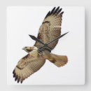 Suche nach roter vogel wanduhren Vögel