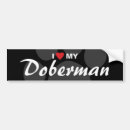 Suche nach dobermann autoaufkleber Zucht