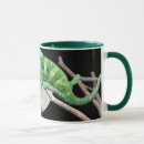 Recherche de de lézard tasses Vert