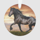 Suche nach schwarzes pferd ornamente Tier