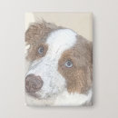 Recherche de chiens de berger australiens badges Aussie