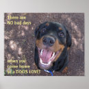 Suche nach rottweiler hunde poster Jungtier
