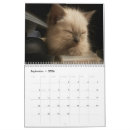 Suche nach kätzchen ich kalender Süß