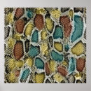 Recherche de peau de serpent posters Afrique