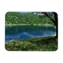 Recherche de ondulation magnets Été