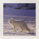 Recherche de renard blanc puzzles Animal sauvage