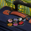 Recherche de fleur de zinnia Rose