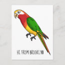 Suche nach papageien cartoon postkarten Vogelvogel