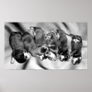 Suche nach rottweiler poster Rotweiler