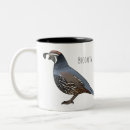 Recherche de cailles tasses Oiseau