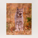 Suche nach der kobold puzzle Wildkatze