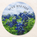 Suche nach bluebonnets untersetzer Lupine