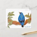 Suche nach afrikanischer vogel postkarten Vogelvogel