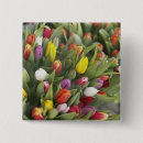 Suche nach tulpen buttons Frühling