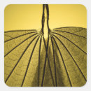 Recherche de veines autocollants Nature