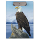 Suche nach kreativ klemmbrett Vogel