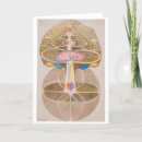 Suche nach visionäre karten Spirituell