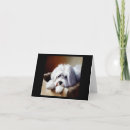 Recherche de tulear vœux cartes Chiot