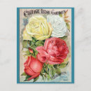 Suche nach hütten rose postkarten Blume
