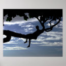 Suche nach betrachtung poster Ruhe