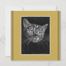 Suche nach katzengesicht karten Kätzchen