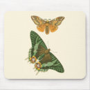 Recherche de encadrement tapis souris Studio de vision