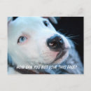 Recherche de puppy cartes postales Bull