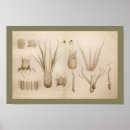 Suche nach kraken druck poster Ozean