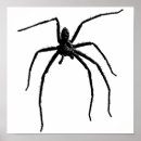 Suche nach schwarze spinnen poster Gruselig