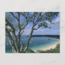 Recherche de anguilla cartes postales Vacances