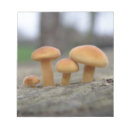 Suche nach makro notizblock Natur