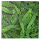 Recherche de plancher carreaux Vert