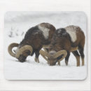 Suche nach temperatur mousepads In voller länge