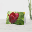 Suche nach tiefrot karten Blumen