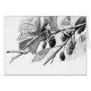 Suche nach maulbeere postkarten Baum