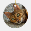 Suche nach gestreifte katze ornamente Katzen