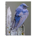 Suche nach natur kleine notizbücher blau