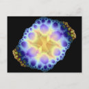 Suche nach seeigel postkarten Meer